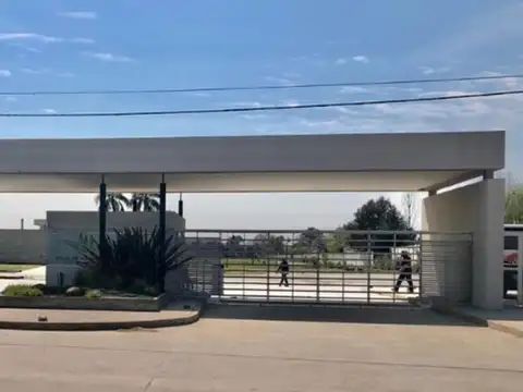 Carola Lorenzini 4600