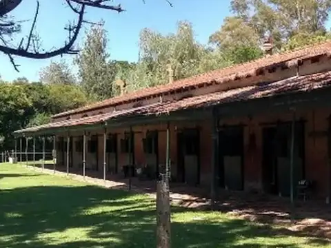 Terreno en Venta 42  mts Frente