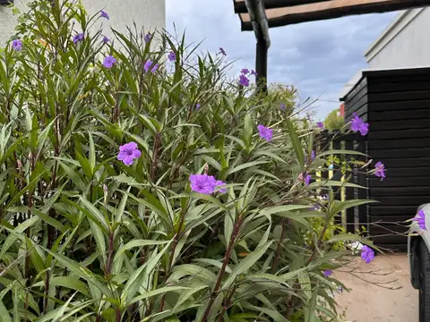 Casa en Alquiler de 3 dormitorios