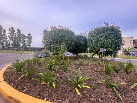 Casa en Alquiler con 2 cocheras