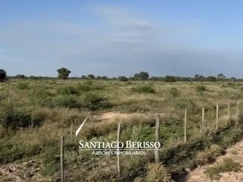 Campo en Carlos Lemee
