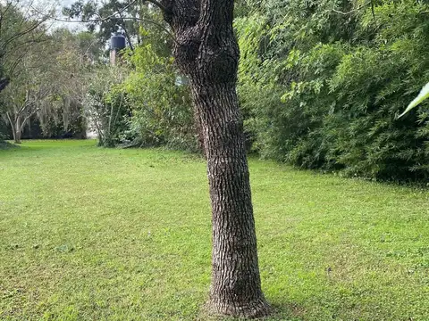 Terreno en Venta de 438,0 m2