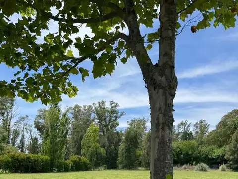 Terreno en Venta de 1978,0 m2