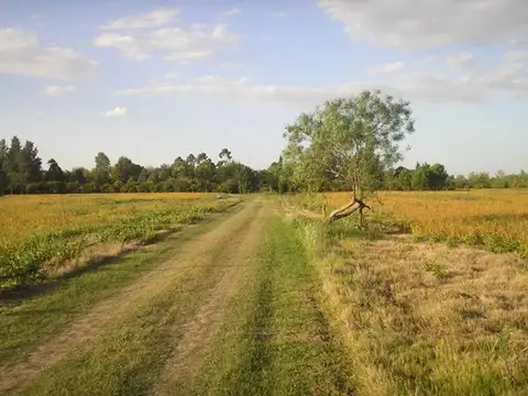 Quinta en Venta de 4 dormitorios