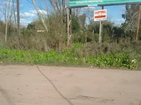 PEDRO GOYENA Y COLECTORA