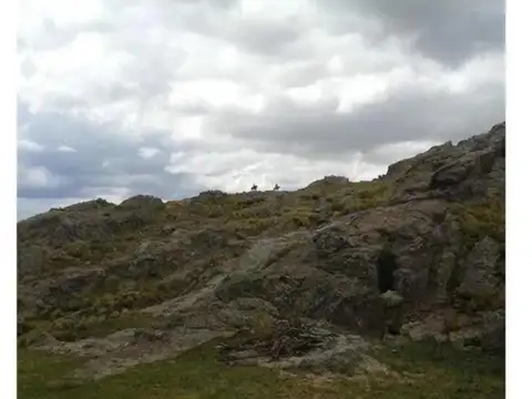 SE VENDEN 441 HECTAREAS EN NONO