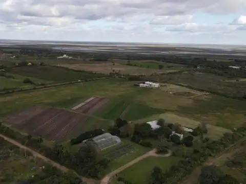 Terreno en Venta 300  mts Fondo