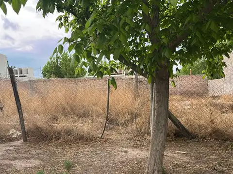 Terreno en Venta en Las Tortugas, USD 35.000
