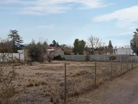 Terreno en Venta en Lujan de Cuyo, Luján de Cuyo