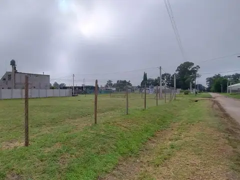 Colonia de Japoneses y Sembrador