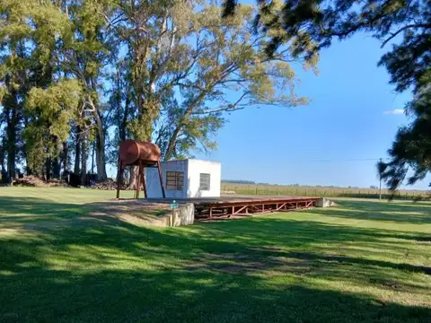 Rural 10000