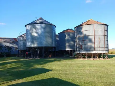 70 has de campo 100 % agrícola suelo uno y casco impecable.