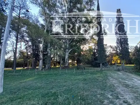 Ruta 24