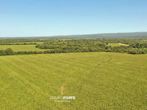 Campo En Venta Despeñaderos