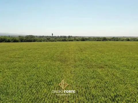 Campo En Venta Despeñaderos