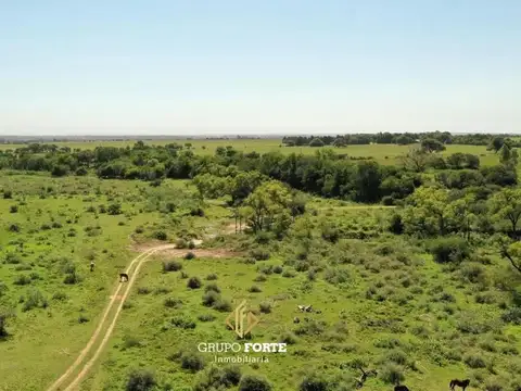 Campo En Venta Despeñaderos
