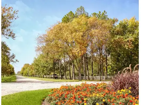 Terreno en Venta 40  mts Frente