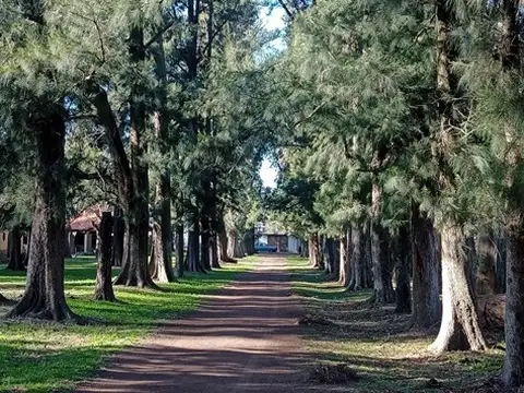 Estancia El Tata S/N