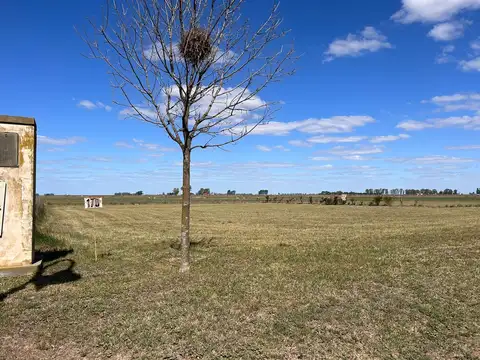 Terreno en Venta en Pehuajo, USD 67.000