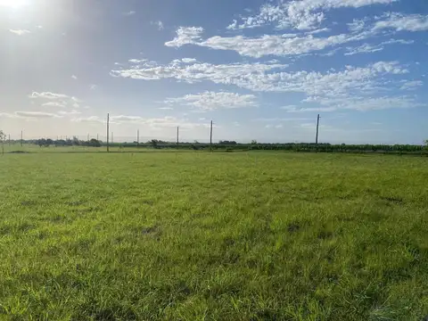 VENTA TERRENO JUAREZ CELMAN CBA B. NVA. GENERACION