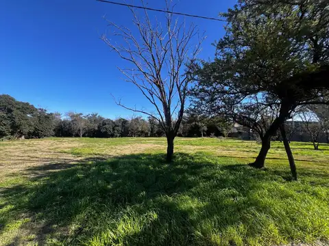 Terreno en Venta en Colonia Tirolesa, USD 40.000
