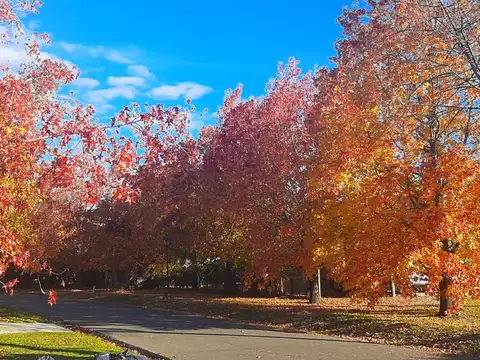 Terreno en Venta de 920,0 m2