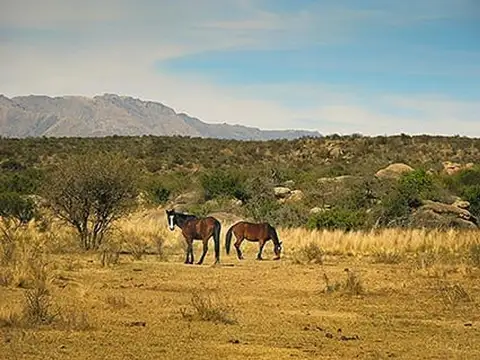Hermoso campo en Ojo de Agua