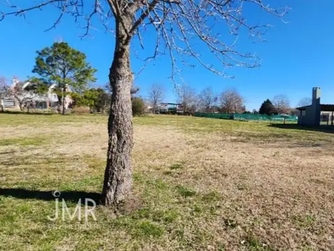 Sor teresa  al 700