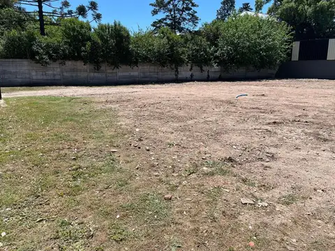 Manuel Luis De Oliden