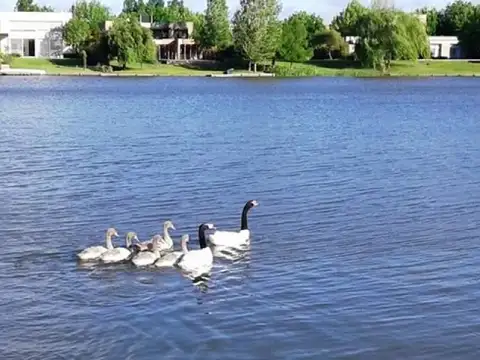 Terreno en Venta en Santa Barbara, USD 1.100.000