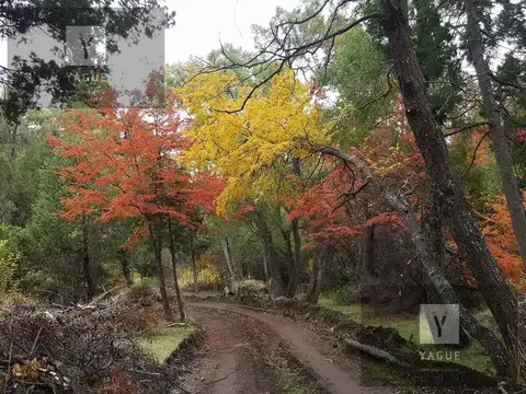 Terreno en Venta de 10000,0 m2