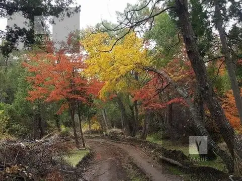 Terreno en Venta de 10000,0 m2