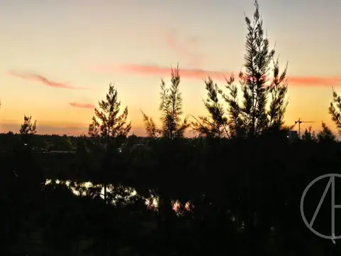 Terreno en venta Carpinchos Nordelta