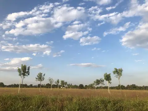 Terreno en Venta de 776,0 m2