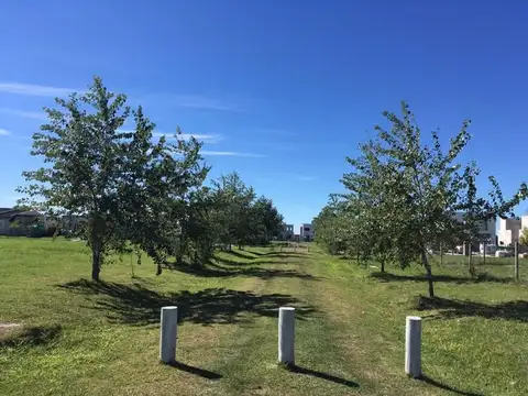 Terreno en Venta en Laguna Azul, USD 24.250