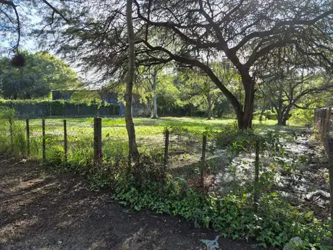 A. V. Peñalosa  al 800