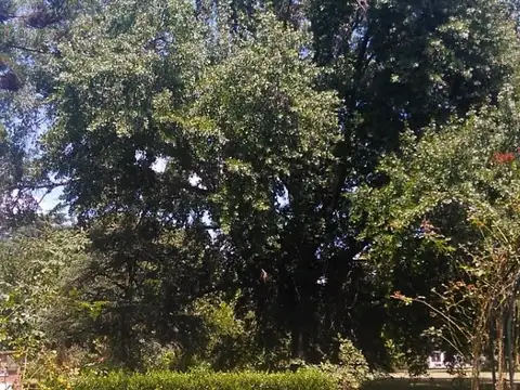 Terreno Parquizado En Barrio San Antonio Loma Verde
