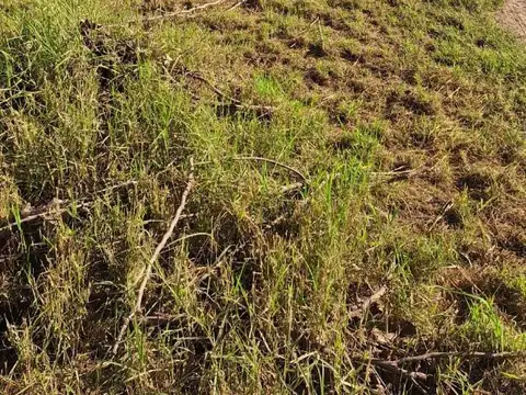 Terreno en Venta en Resistencia, USD 35.000