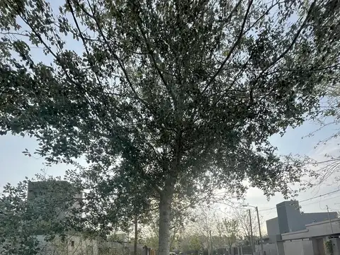 Terreno en Venta en Roldan, USD 19.000