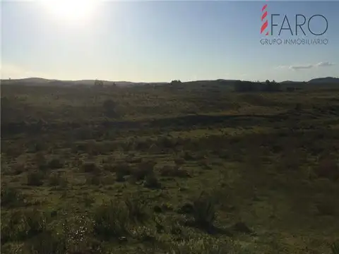 Campo en Venta de 5.500  ha