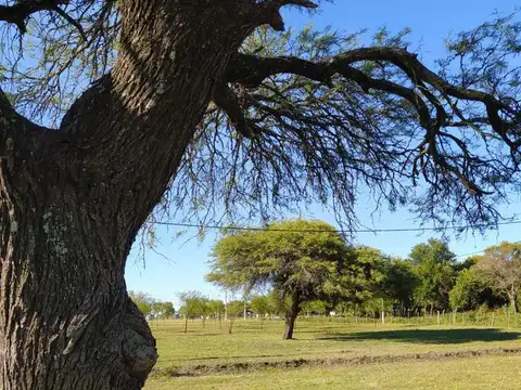 Terreno en Venta de 289,0 m2