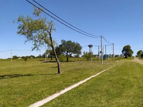 Terreno en Venta 26  mts Fondo