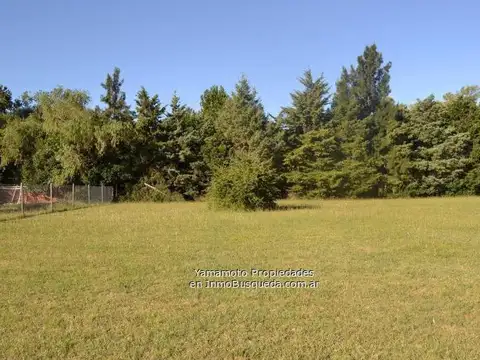 Terreno - Villa Elisa