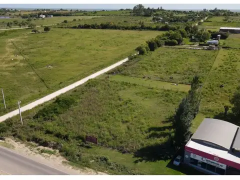 Ruta 11 y  Los Horneros
