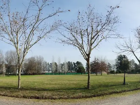 Haras Del Sol