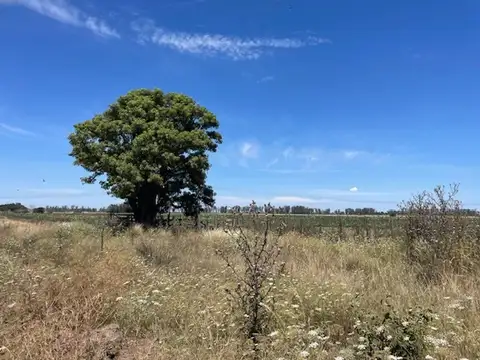 Rural 8000