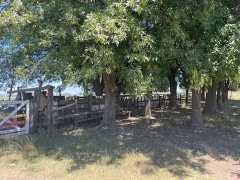 Rural 8000