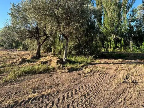 Ortubia 3300, Piso 0