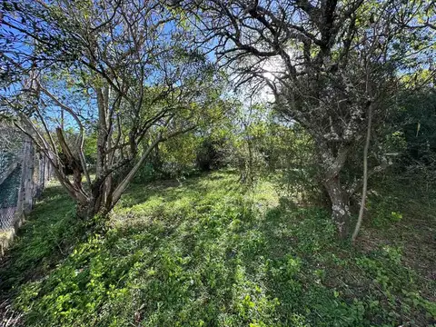 Terreno en Venta de 698,0 m2
