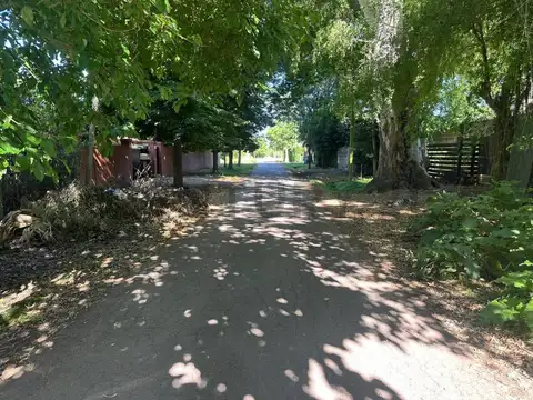 Lote en venta en Villa Elisa